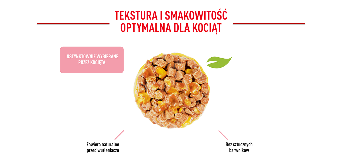 ROYAL CANIN Kitten Sterilised in jelly 12x85 g